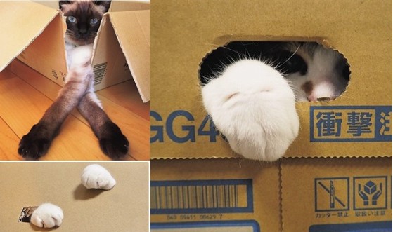 今 話題 の 写真 集