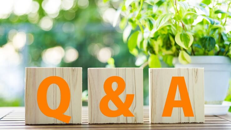 Q&A