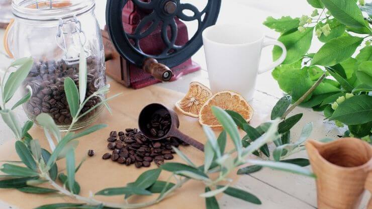 コーヒー豆や植物の画像