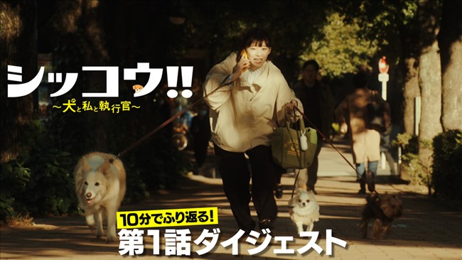 TELASAのドラマ「シッコウ!!〜犬と私と執行官〜」の画像