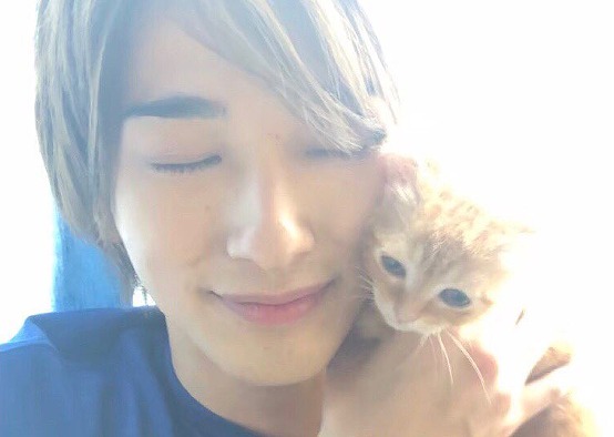 横浜流星、子猫との“頬ずりショット”でインスタフォロワー100万人達成を報告