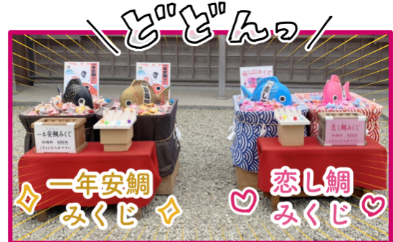 「湘南一の縁結びスポットで“恋し鯛みくじ”に挑戦!」5000円でが~るずうぉーかー葉山編vol.2