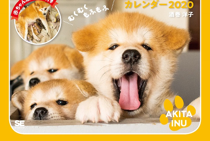 今話題の秋田犬も!もふもふ&キュートな動物がてんこ盛りのカレンダー発売
