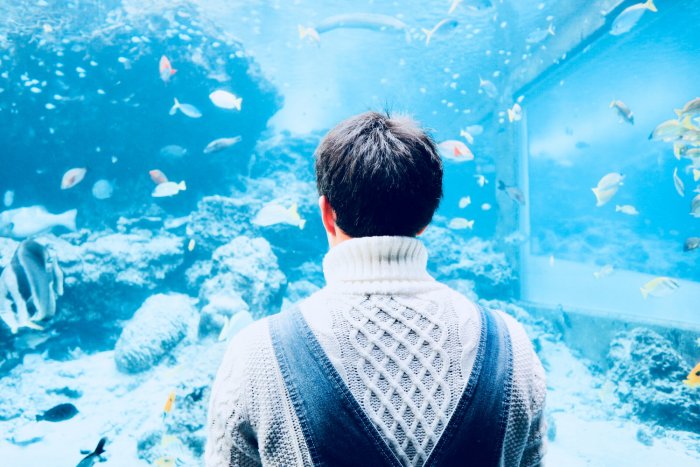 雰囲気イケメン はなぜモテる 特徴と落とし方を解説 Girlswalker ガールズウォーカー