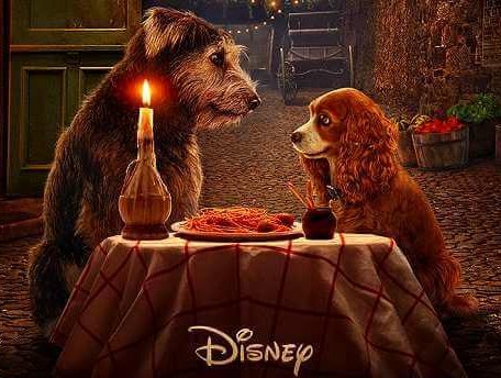 実写版 わんわん物語 が日本初配信 ディズニープラス ではオリジナルアニメーション作品も見放題 Girlswalker ガールズウォーカー 実写版 わんわん物語 が日本初配信 ディズニープラス ではオリジナルアニメーション作品も見放題 Girlswalker ガールズウォーカー