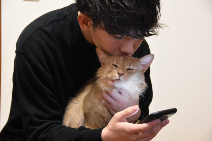 ネコ系男子の特徴とは アピール方法 Girlswalker